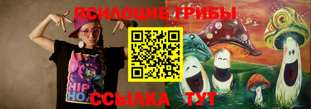 Коряжма  Галлюциногенные грибы Psilocybe  Вход с VPN 