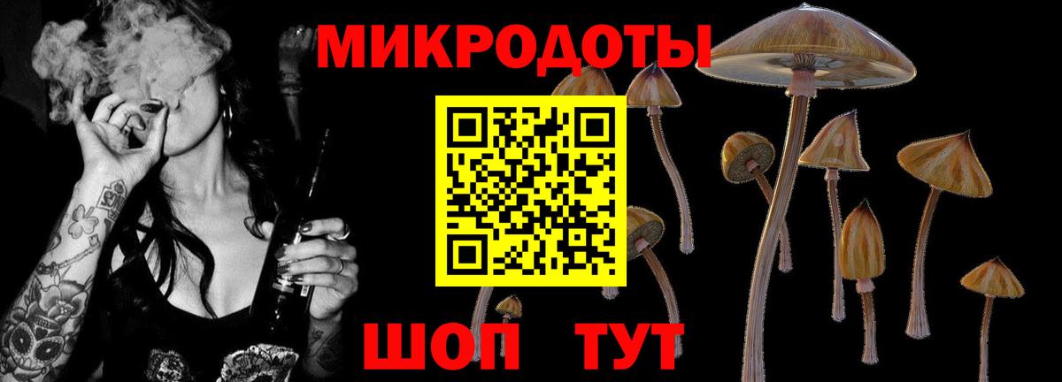 Бошки Шишки Коряжма